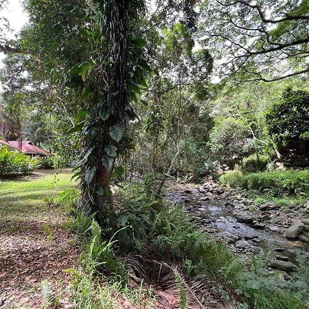 Evasion Bungalow D'Antan Spa Sarraméa エクステリア 写真