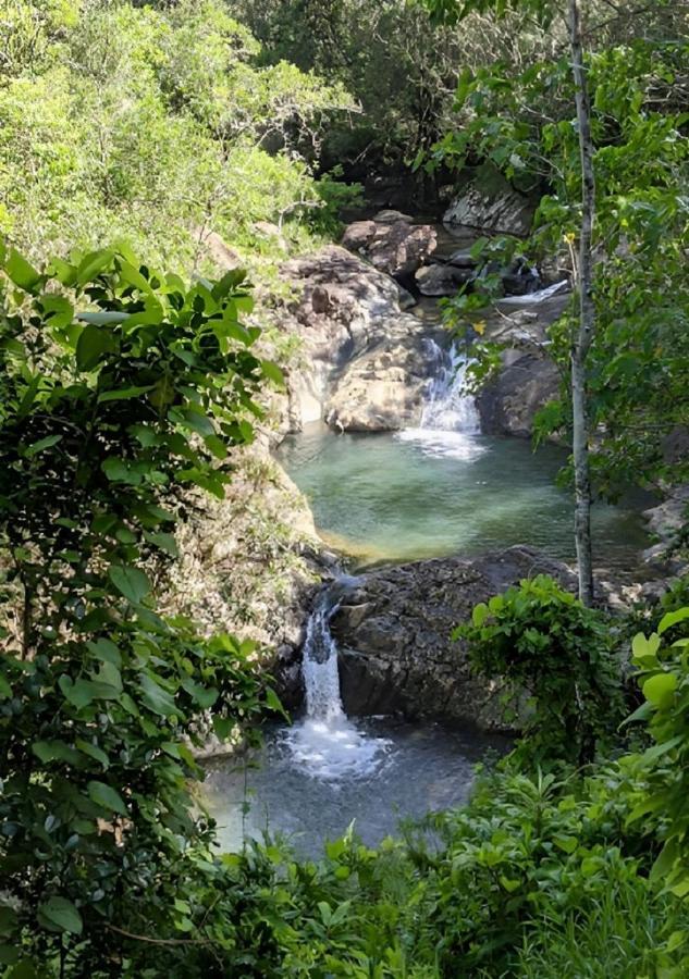 Evasion Bungalow D'Antan Spa Sarraméa エクステリア 写真