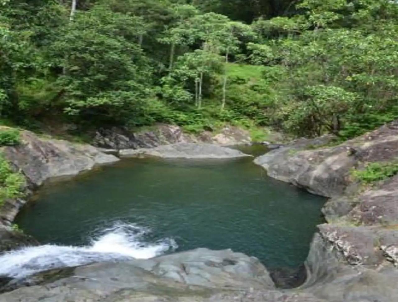 Evasion Bungalow D'Antan Spa Sarraméa エクステリア 写真