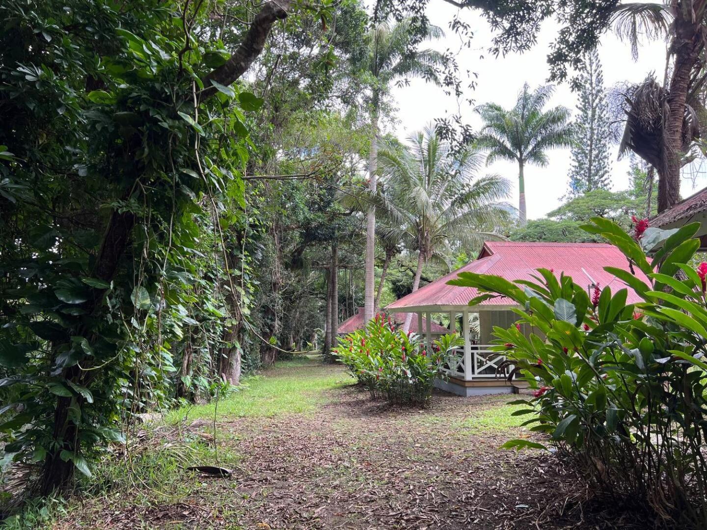 Evasion Bungalow D'Antan Spa Sarraméa エクステリア 写真